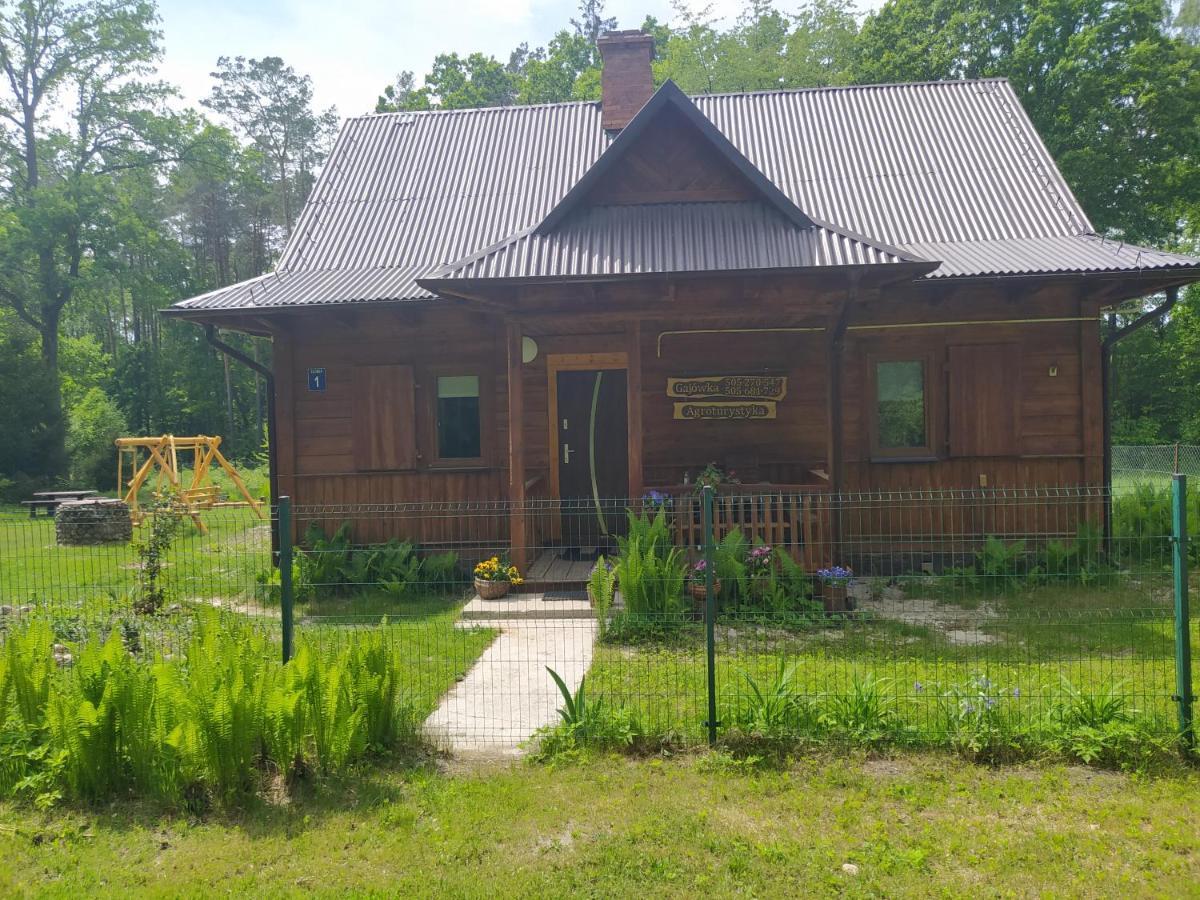 Gajowka Zlobek Villa Zlobek  Buitenkant foto